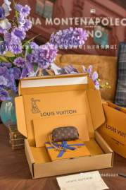 Picture of Louis Vuitton Wallets _SKUfw220573156fw